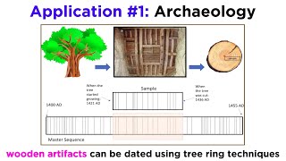 Applications of Dendrochronology [upl. by Hollerman]