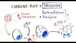 Demystifying HIV PreExposure Prophylaxis [upl. by Yrannav]