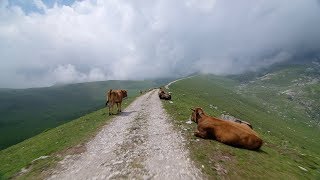 Crossing Picos de Europa  Indoor Cycling Training [upl. by Ardis]