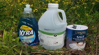 Natural Homemade Weed Killer Recipe Tested by Lawn Care Pro [upl. by Fagaly]