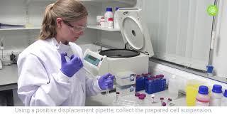 How to perform 3D cell culture [upl. by Telfer]