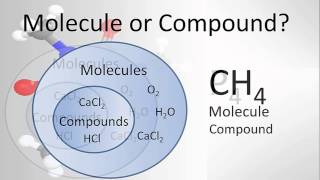 Molecule vs Compound Examples and Practice [upl. by Ellertnom]