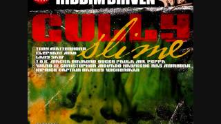 Gully Slime Riddim Mix 2006 By DJWOLFPAK [upl. by Amesari26]