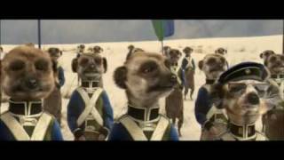 The Battle of Fearlessness  Compare The Meerkat [upl. by Nnyroc]