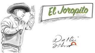 Walter Silva  El Joropito Video Lyric [upl. by Nauqyaj825]