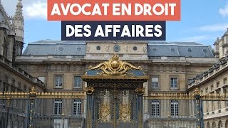 Avocats  la spécialité droit des affaires [upl. by Jt895]