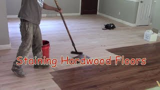 Staining Hardwood Floors [upl. by Eidlog]