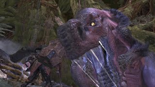 Monster Hunter World Anjanath Boss Fight 7 Solo  Hammer [upl. by Anayaran]