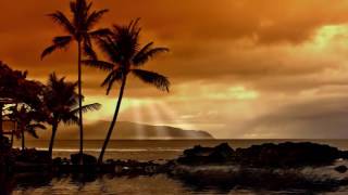 Hawaiian Islands Music Traditional Hawaiian Songs for Deep Relaxation [upl. by Dorsy718]