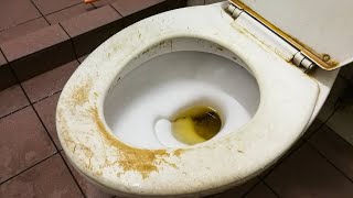 BRILLIANT Way to CLEAN TOILET BOWL STAINS amp REMOVE HARD WATER  Andrea Jean [upl. by Clara]