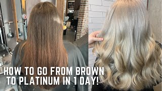 How to go from Brown to Platinum in one day  color correction tutorial transformation demi hair dye [upl. by Don]