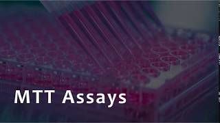 MTT Assay for Cell Viability [upl. by Niarda]