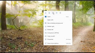 How To Rename File or Folder On Windows 11 Tutorial [upl. by Ezequiel425]