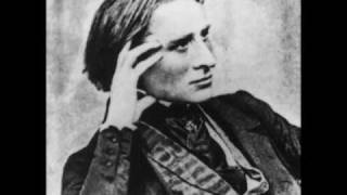 Franz Liszt  Un Sospiro [upl. by Lecram]