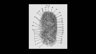 Introduction What are Fingerprints [upl. by Annim]