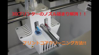 【3Dプリンターノズル詰まり解消！】プリントコアクリーニング [upl. by Eleazar]