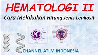 16 Hematologi Cara Melakukan Hitung Jenis Leukosit Diff Count [upl. by Norry803]