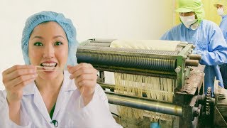 How Rice Noodles Are Made in Thailand  Mini Documentary [upl. by Nirtiak135]