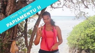 How to speak papiamentu part 2  Language lesson  Curacao [upl. by Aicat]