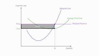 Introduction to Perfect Competition [upl. by Vardon]