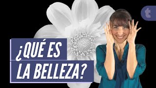 La estética y belleza para la filosofía [upl. by Namara]