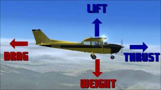 The Aerodynamics of Flight [upl. by Tabb]