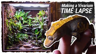 Making a Crested Gecko Vivarium Time Lapse [upl. by Egas]