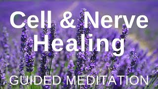 Guided HEAL Meditation  Cell and Nerve Healing Self Healing Meditation [upl. by Sleinad]