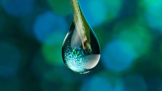 Water Drop Sound Effect  3D Sound Effects  splash to drips  Link In Description 👇 [upl. by Gilud986]