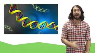 Nucleic Acids DNA and RNA [upl. by Peder848]