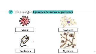 Les microorganismes 🦠 [upl. by Nogaem]