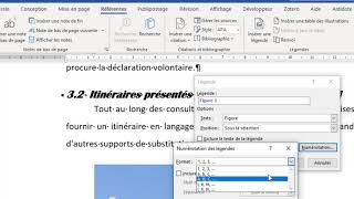 Ajoutez une légende à vos images dans Word [upl. by Cochrane668]