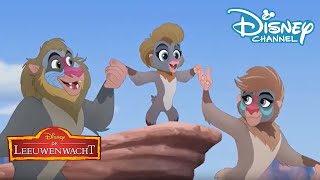 De Leeuwenwacht  Liedje Kijk Dan Ook Nog Eens Terug 🎶 Disney Channel NL [upl. by Eskil]