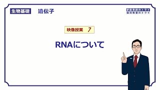 【生物基礎】 遺伝子7 RNAについて （１３分） [upl. by Aidin]