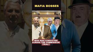 How the Commission Trial Changed the Mafia Forever [upl. by Nelram]