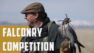 The Ultimate Falconry Competition [upl. by Assirialc]