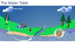 The Water Cycle Infiltration vs Runoff [upl. by Nahij524]