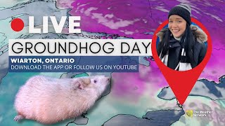 LIVE Groundhogs Make Spring Predictions in Canada [upl. by Jeniffer]