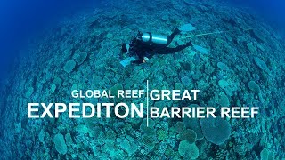 Global Reef Expedition Great Barrier Reef [upl. by Limann74]