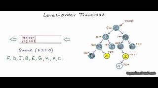 Binary tree Level Order Traversal [upl. by Engen98]