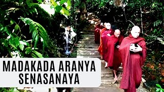 Madakada Aranya Senasanaya [upl. by Irisa]