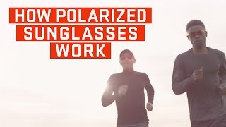 How Polarized Sunglasses Work [upl. by Aivirt]