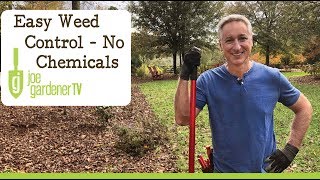 Easy Weed Control Without Chemicals [upl. by Atterg]