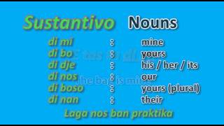 Learn Papiamento  Lesson 6  Possessive pronouns [upl. by Nahgen]