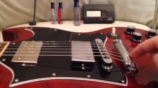 SG Guitars Quick Setup Specs [upl. by Nwahsit]