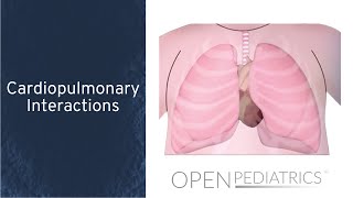 Pathophysiology of Persistent Pulmonary Hypertension of the Newborn PPHN [upl. by Doowron]