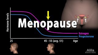 Menopause Perimenopause Symptoms and Management Animation [upl. by Spiros]