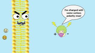 Facilitated Diffusion Explained [upl. by Nylaf]