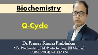 Q Cycle [upl. by Sanford]