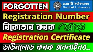 Recover Forgotten Registration Number amp Download Registation Certificate Online  Gauhati University [upl. by Ardnasella413]